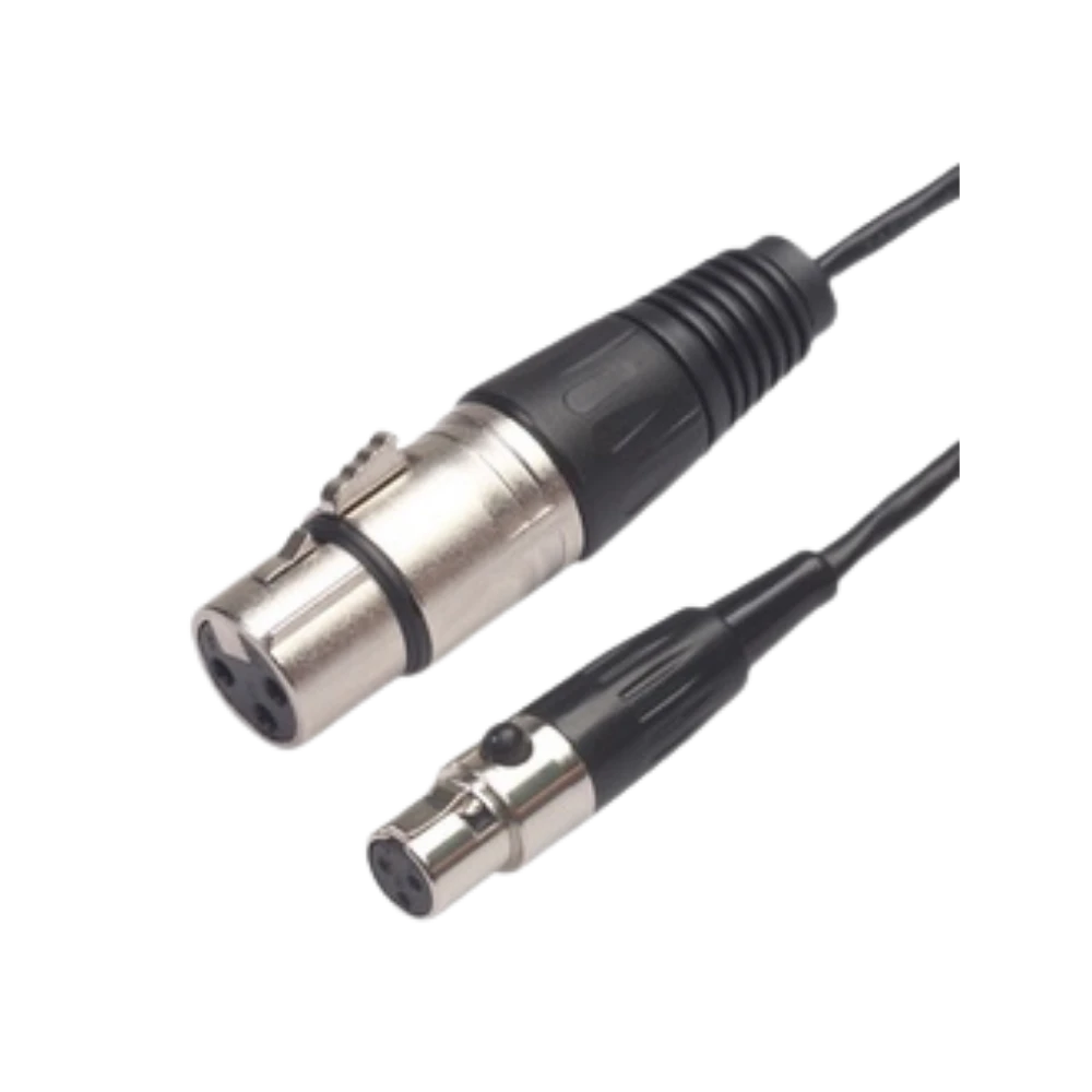 兩個XLR音頻連接器，用於麥克風和聲卡的專業連接。