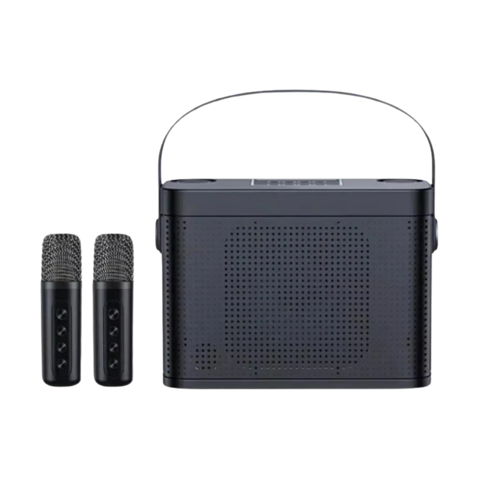 两支麦克风和一个便携式声卡设备