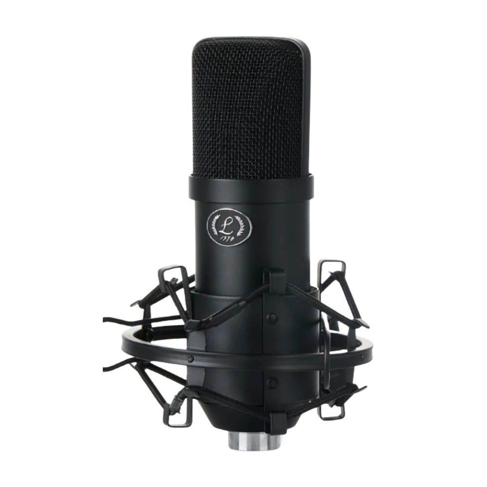 黑色專業麥克風，適合直播和錄音使用