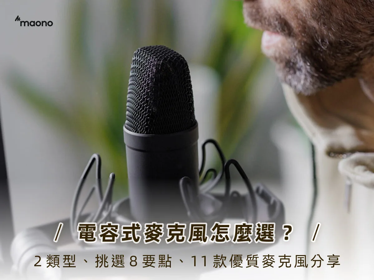 MildLife首頁 電容式麥克風怎麼選?2類型、挑選8要點、11款優質麥克風分享